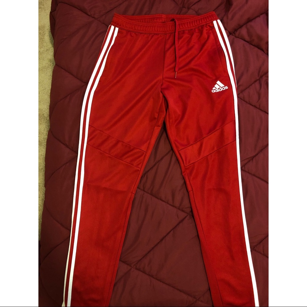 Adidas Training Pants